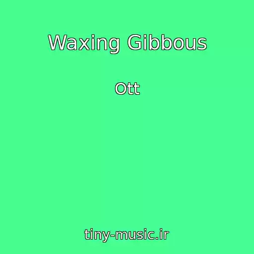 کاور آهنگ Waxing Gibbous از Ott