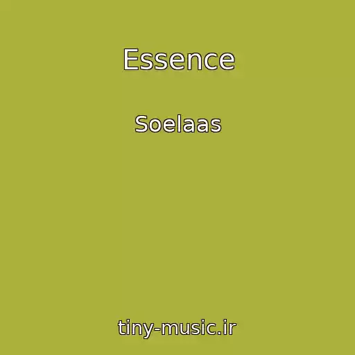 کاور آهنگ Essence از Soelaas