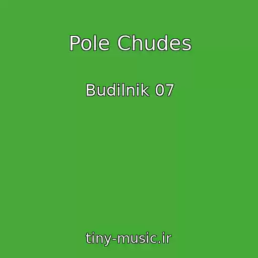 کاور آهنگ Pole Chudes از Budilnik 07