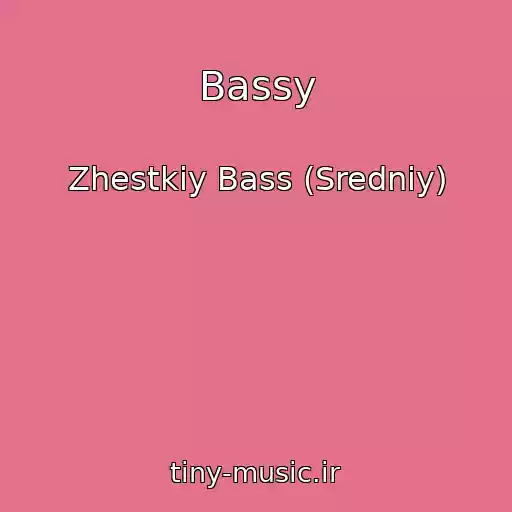 کاور آهنگ Bassy از Zhestkiy Bass (Sredniy)