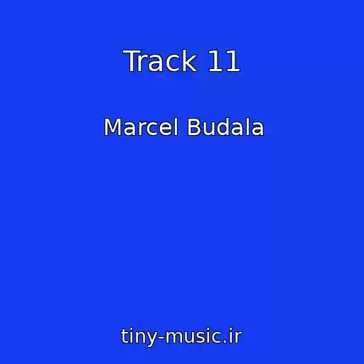 کاور آهنگ Track 11 از Marcel Budala