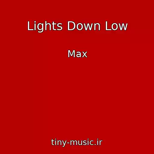 کاور آهنگ Lights Down Low از Max