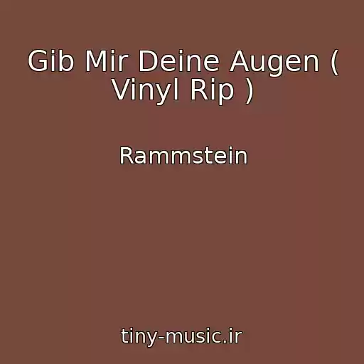 کاور آهنگ Gib Mir Deine Augen ( Vinyl Rip ) از Rammstein