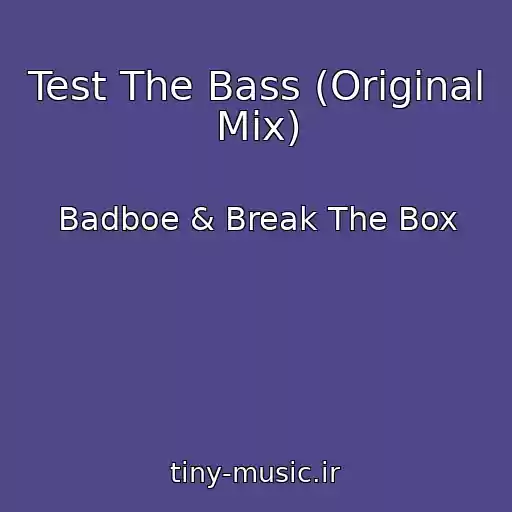 کاور آهنگ Test The Bass (Original Mix) از Badboe & Break The Box