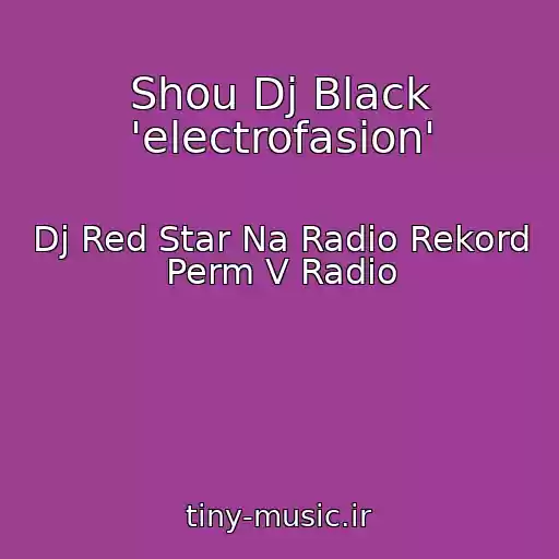کاور آهنگ Shou Dj Black 'electrofasion' از Dj Red Star Na Radio Rekord Perm V Radio