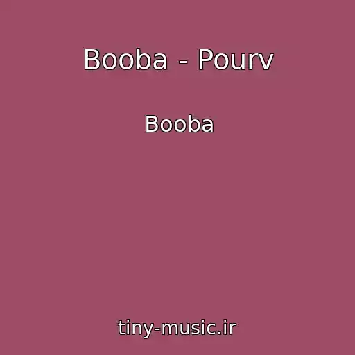 کاور آهنگ Booba - Pourv از Booba