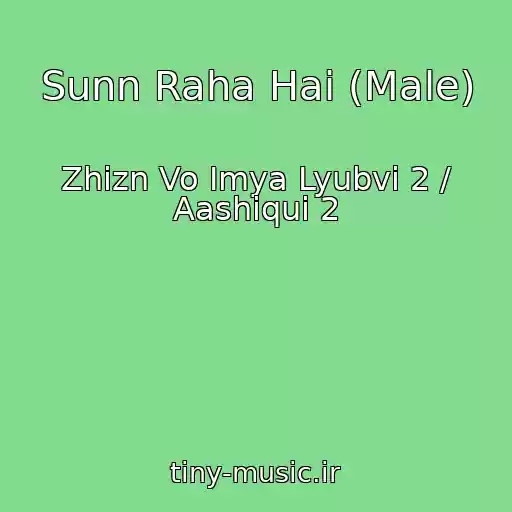 کاور آهنگ Sunn Raha Hai (Male) از Zhizn Vo Imya Lyubvi 2 / Aashiqui 2