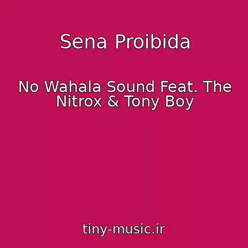 کاور آهنگ Sena Proibida از No Wahala Sound Feat. The Nitrox & Tony Boy