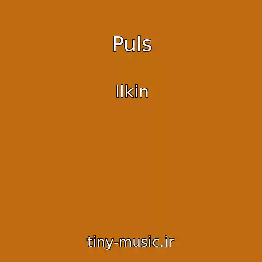 کاور آهنگ Puls از Ilkin