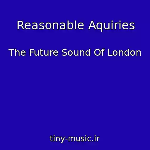 کاور آهنگ Reasonable Aquiries از The Future Sound Of London
