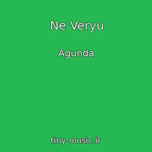کاور آهنگ Ne Veryu از Agunda