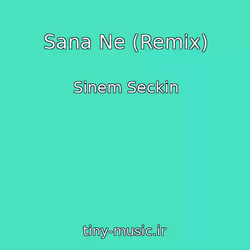 کاور آهنگ Sana Ne (Remix) از Sinem Seckin