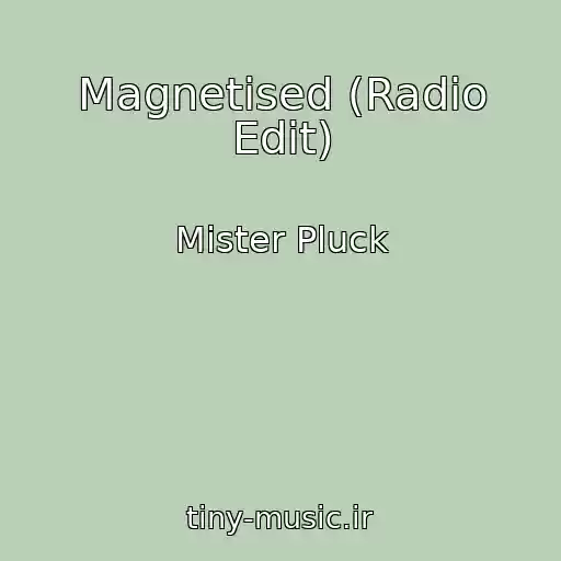 کاور آهنگ Magnetised (Radio Edit) از Mister Pluck