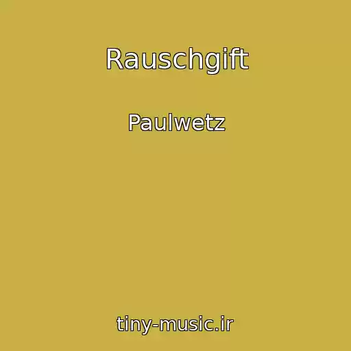 کاور آهنگ Rauschgift از Paulwetz