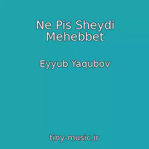 کاور آهنگ Ne Pis Sheydi Mehebbet از Eyyub Yaqubov