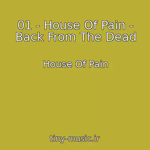 کاور آهنگ 01 - House Of Pain - Back From The Dead از House Of Pain