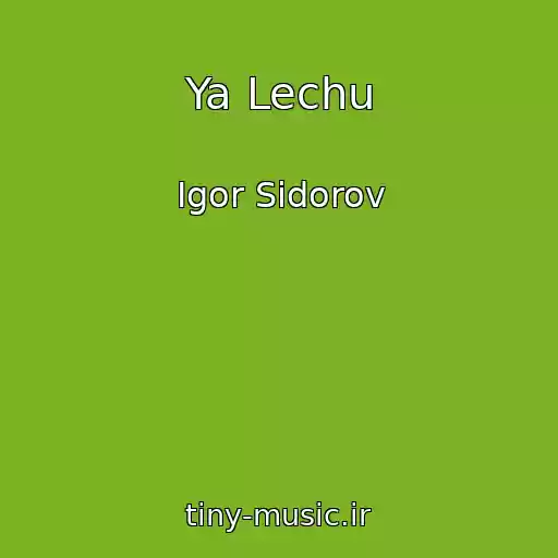 کاور آهنگ Ya Lechu از Igor Sidorov
