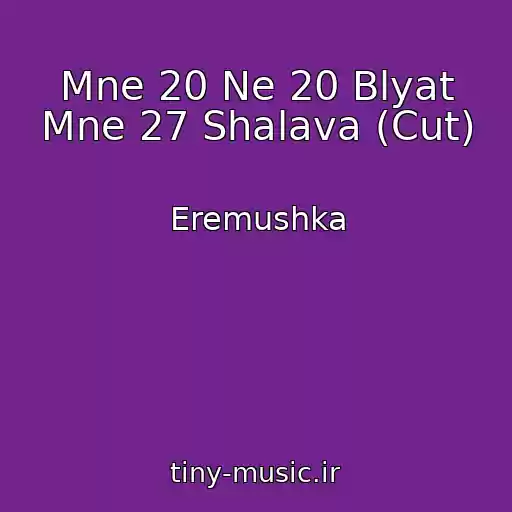 کاور آهنگ Mne 20 Ne 20 Blyat Mne 27 Shalava (Cut) از Eremushka