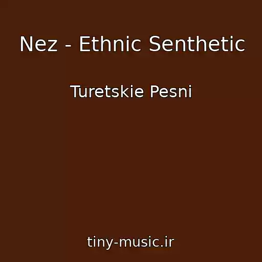کاور آهنگ Nez - Ethnic Senthetic از Turetskie Pesni