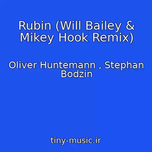 کاور آهنگ Rubin (Will Bailey & Mikey Hook Remix) از Oliver Huntemann , Stephan Bodzin