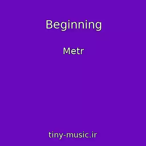 کاور آهنگ Beginning از Metr