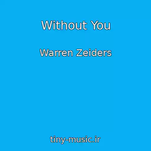 کاور آهنگ Without You از Warren Zeiders