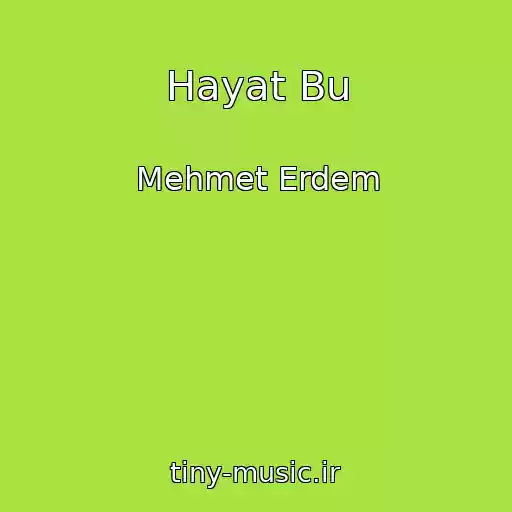 کاور آهنگ Hayat Bu از Mehmet Erdem
