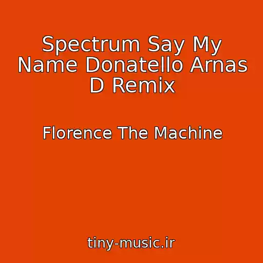 کاور آهنگ Spectrum Say My Name Donatello Arnas D Remix از Florence The Machine