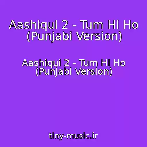 کاور آهنگ Aashiqui 2 - Tum Hi Ho (Punjabi Version) از Aashiqui 2 - Tum Hi Ho (Punjabi Version)