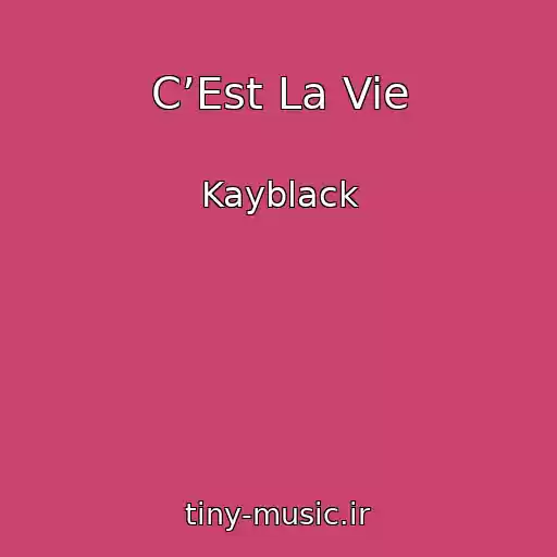 کاور آهنگ C’Est La Vie از Kayblack