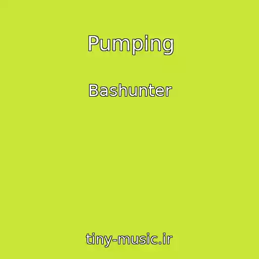 کاور آهنگ Pumping از Bashunter