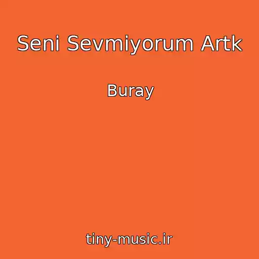 کاور آهنگ Seni Sevmiyorum Artk از Buray
