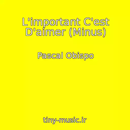کاور آهنگ L'important C'est D'aimer (Minus) از Pascal Obispo