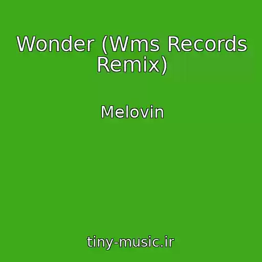 کاور آهنگ Wonder (Wms Records Remix) از Melovin