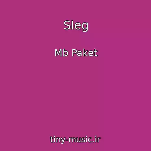 کاور آهنگ Sleg از Mb Paket