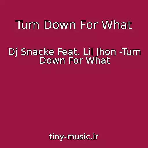 کاور آهنگ Turn Down For What از Dj Snacke Feat. Lil Jhon -Turn Down For What