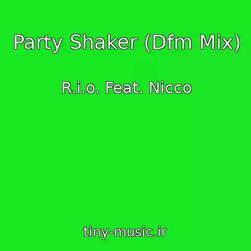 کاور آهنگ Party Shaker (Dfm Mix) از R.i.o. Feat. Nicco