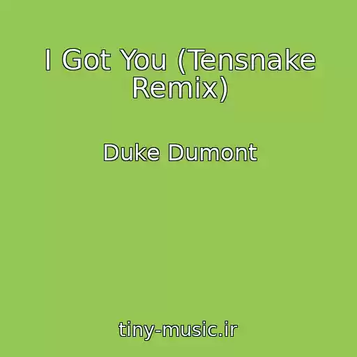 کاور آهنگ I Got You (Tensnake Remix) از Duke Dumont