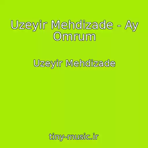 کاور آهنگ Uzeyir Mehdizade - Ay Omrum از Uzeyir Mehdizade
