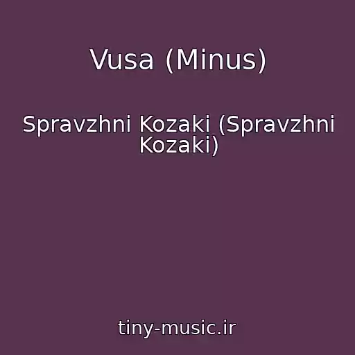 کاور آهنگ Vusa (Minus) از Spravzhni Kozaki (Spravzhnі Kozaki)