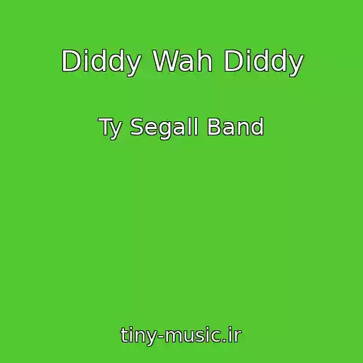 کاور آهنگ Diddy Wah Diddy از Ty Segall Band