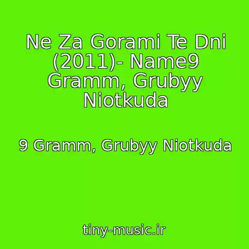کاور آهنگ Ne Za Gorami Te Dni (2011)- Name9 Gramm, Grubyy Niotkuda از 9 Gramm, Grubyy Niotkuda