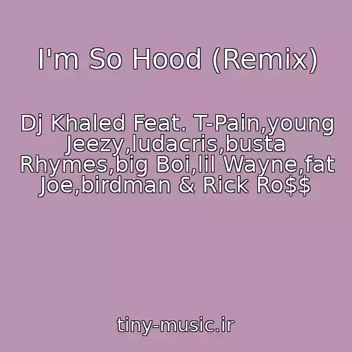کاور آهنگ I'm So Hood (Remix) از Dj Khaled Feat. T-Pain,young Jeezy,ludacris,busta Rhymes,big Boi,lil Wayne,fat Joe,birdman & Rick Ro$$