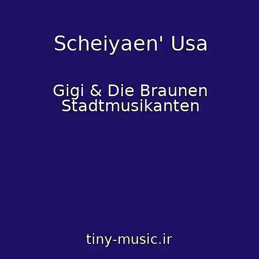 کاور آهنگ Scheiyaen' Usa از Gigi & Die Braunen Stadtmusikanten