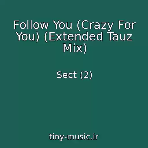 کاور آهنگ Follow You (Crazy For You) (Extended Tauz Mix) از Sect (2)
