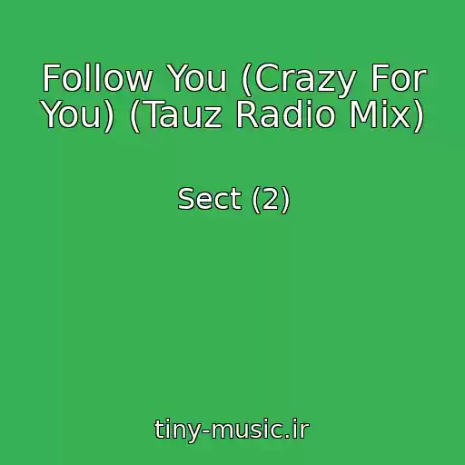 کاور آهنگ Follow You (Crazy For You) (Tauz Radio Mix) از Sect (2)