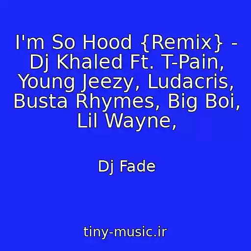 کاور آهنگ I'm So Hood {Remix} - Dj Khaled Ft. T-Pain, Young Jeezy, Ludacris, Busta Rhymes, Big Boi, Lil Wayne, از Dj Fade