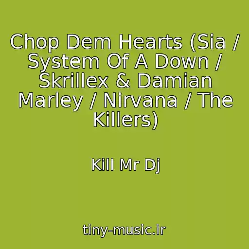 کاور آهنگ Chop Dem Hearts (Sia / System Of A Down / Skrillex & Damian Marley / Nirvana / The Killers) از Kill Mr Dj