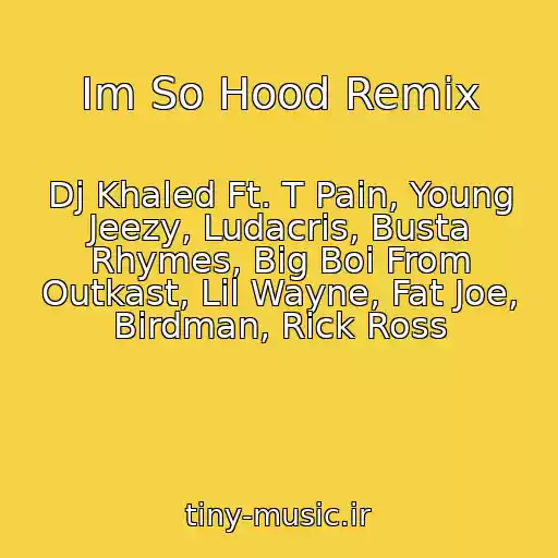 کاور آهنگ Im So Hood Remix از Dj Khaled Ft. T Pain, Young Jeezy, Ludacris, Busta Rhymes, Big Boi From Outkast, Lil Wayne, Fat Joe, Birdman, Rick Ross