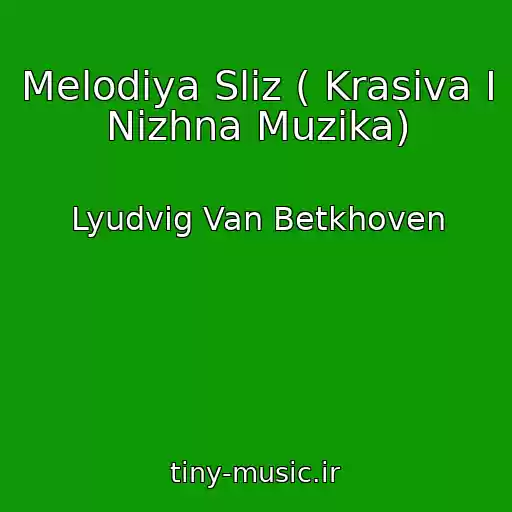 کاور آهنگ Melodіya Slіz ( Krasiva І Nіzhna Muzika) از Lyudvig Van Betkhoven
